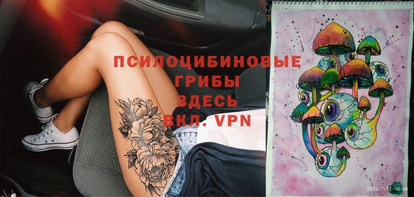 МДПВ Алексин