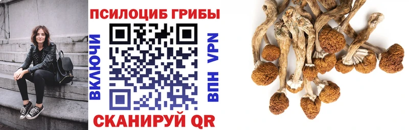 Галлюциногенные грибы мухоморы  Мураши 